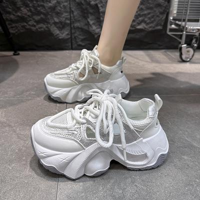 2024 Nieuwe Schoenen Dames Veterschoenen Dames Gevulkaniseerde Schoenen Herfst Ademend Mesh Gemengde Kleuren Platform Casual Sport Wandelschoenen