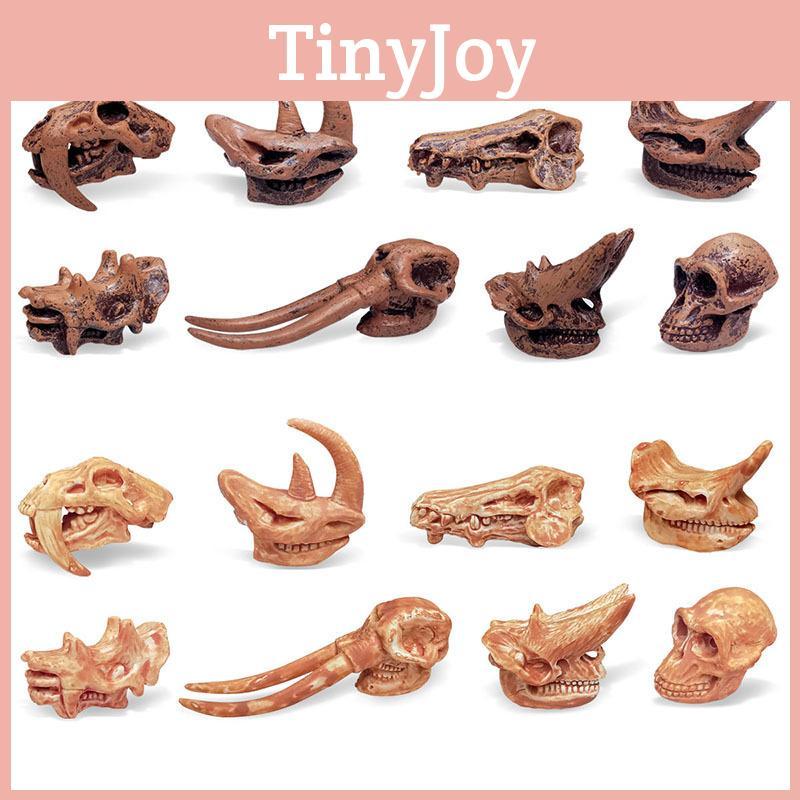 Realistic Jurassic Dinosaur Skull Model Toy For Kids Educational Archaeology Fun