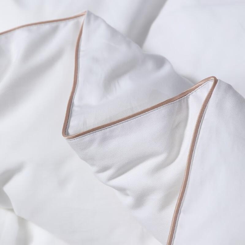 Mercury 100% Mulberry Silk Thickened Winter Quilt