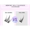 Bonnie Wisp - False Eyelashes Clusters (Various Designs)