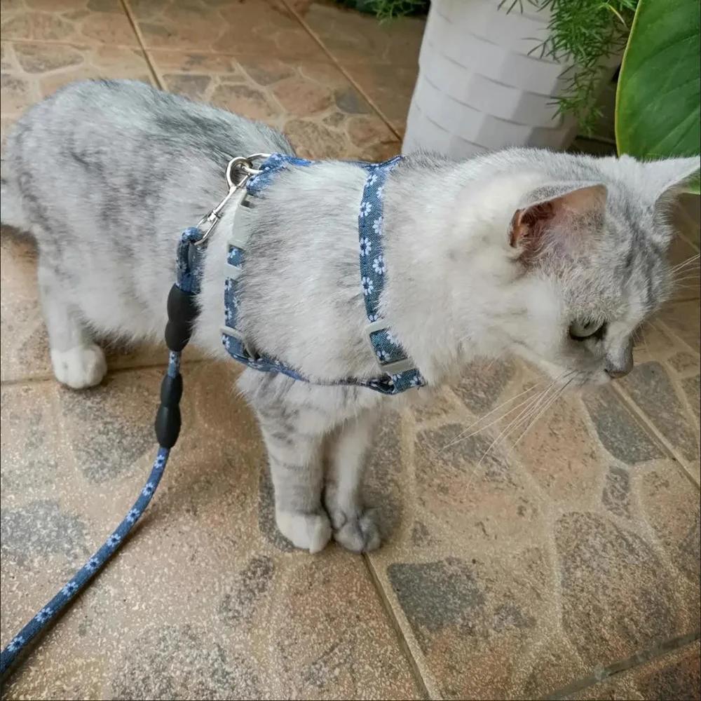 Japanese Style Pet Harness and Leash Adjustable Puppy Dog Cat Harnesses Gatos Productos Para Mascotas Sphynx Kitten Accessories