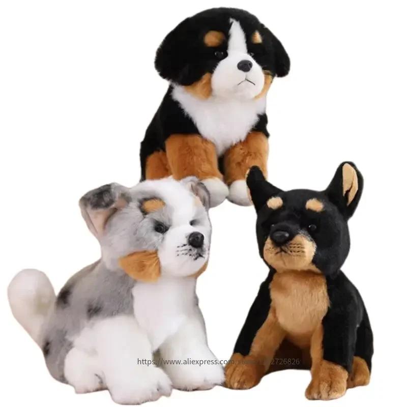 Favorite Toy Boys Lifelike Real Soft Brenese Mountain Dog Doberman Pinscher Doggy Sitting Cute Kawaii Pet Plush Toy Girls Appeasing Kids Gift