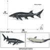 Marine Animal Simulation Model Figures: Shark, Dolphin, Hammerhead, Crab, Squid, Starfish for Kids' Education