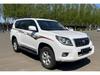 Personalized Colorful Stripes for Toyota Prado 2010-2023: Car Body Decals & Modified Stickers