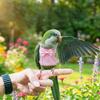 Adjustable Parrot Flying Harness Breathable Parrot Flight Suit Parrot Vest  Macaw Accessories