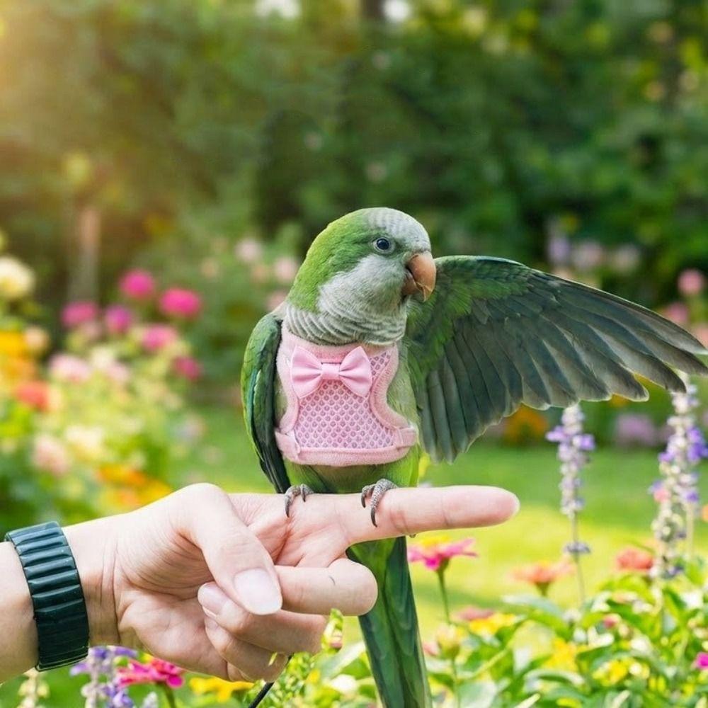 Adjustable Parrot Flying Harness Breathable Parrot Flight Suit Parrot Vest  Macaw Accessories