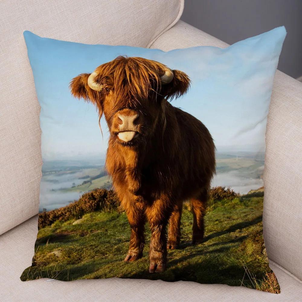 Scotland Kyloe Pillow Case Decor Wild Cow Colorful Animal Print Pillowcase Soft Short Plush Cushion Cover for Home Sofa 45x45cm