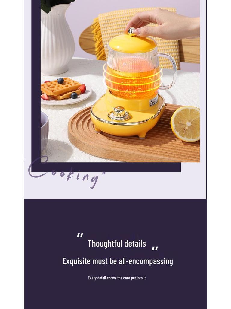 Electric Multifunctional Stew Cup & Kettle: Portable Boiling & Heating for Tea, Bird's Nest, and Health Drinks