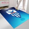 Anorthosis Famagusta FC Carpet Rug for Living Room Bedroom Home Sofa Decoration,Kids play Nonslip Floor Mat