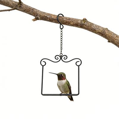 Metal Frame Hummingbird Swings And Perches Outdoor Wild Bird Perch with Wooden Dowel And Hanging Chain for Trunk Lawn Patio Garden