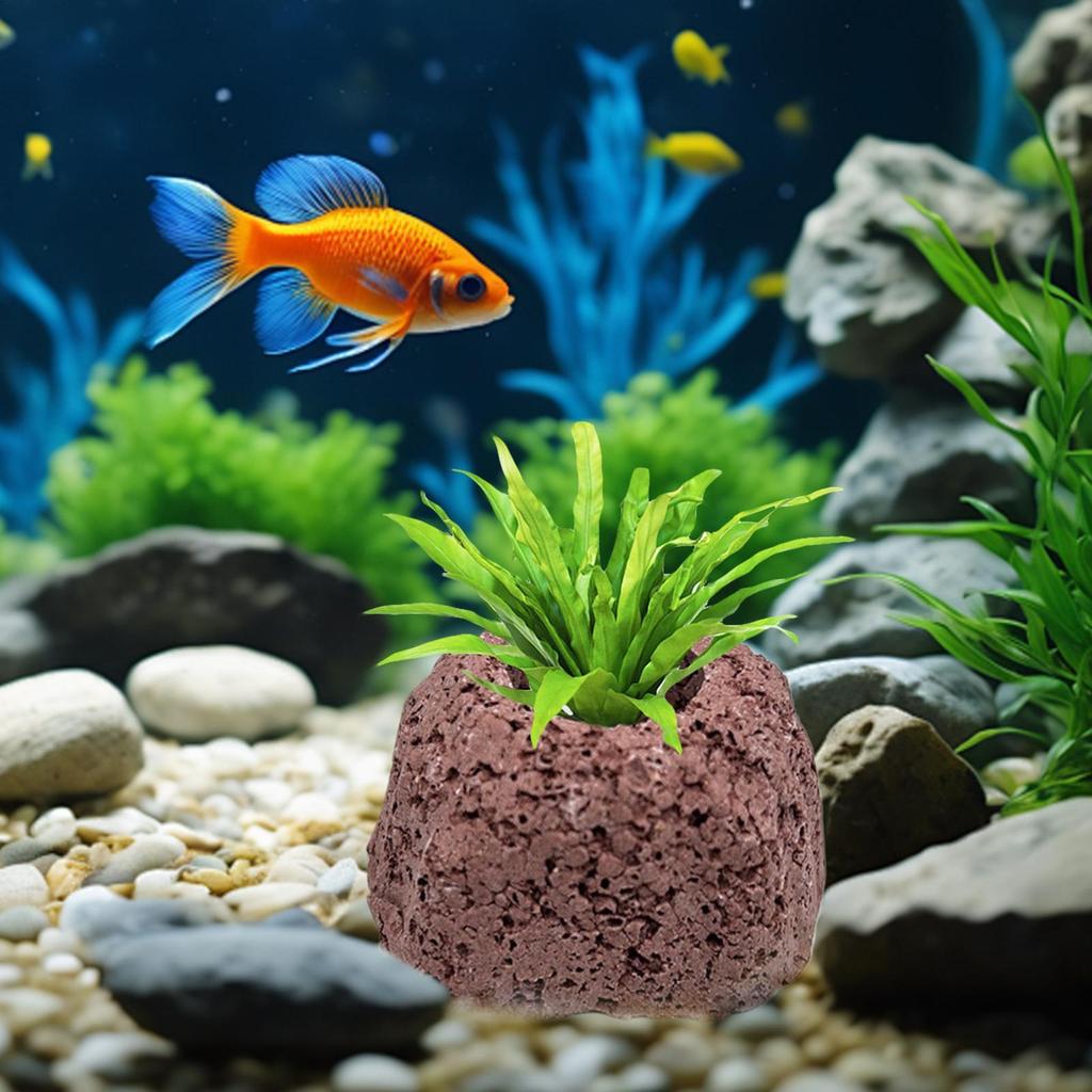 Aquarienpflanzen-Gewichte Ovaler Ring Anti-Schwimmende Wasserpflanzen Fixierungsringe Für Süßwasser-Garnelen-Teich Pool Zucht