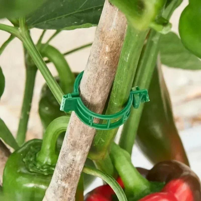 Reusable Plastic Plant Support Clips Garden Vine Strapping Fixing Clip for Climbing Tomato Grape Vegetables Stalk Holders Buckle
