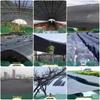 Thickened Encrypted Outdoor Sun Net for Vegetable Fields and Greenhouses