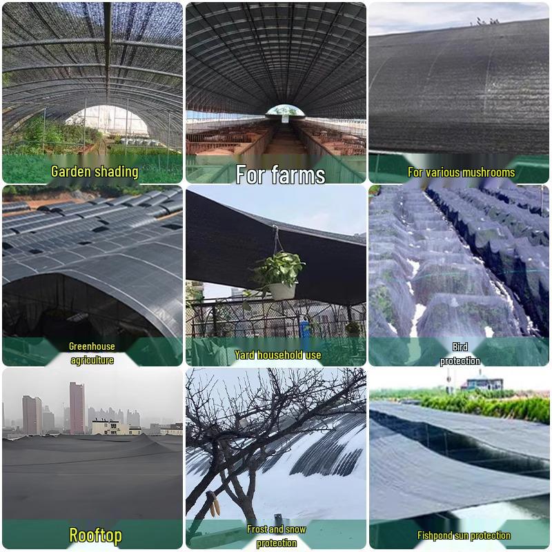 Thickened Encrypted Outdoor Sun Net for Vegetable Fields and Greenhouses