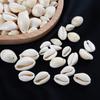 Pack of 100 Natural Seashells Charm Sea Shell Accessories for Handmade Bracelets and Necklaces Jewelry Components