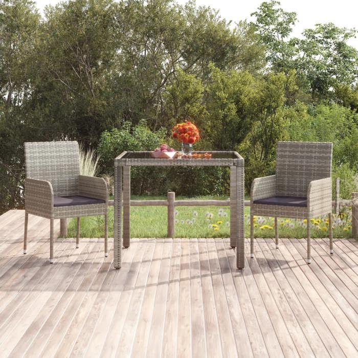 319886 vidaXL Chaises de jardin avec coussins 2 pcs Résine tressée Gris