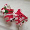Cartoon Red Cap Claw Clip Acrylic Snowman Hairpin Fashion Christmas Hair Claw Hair Accessories