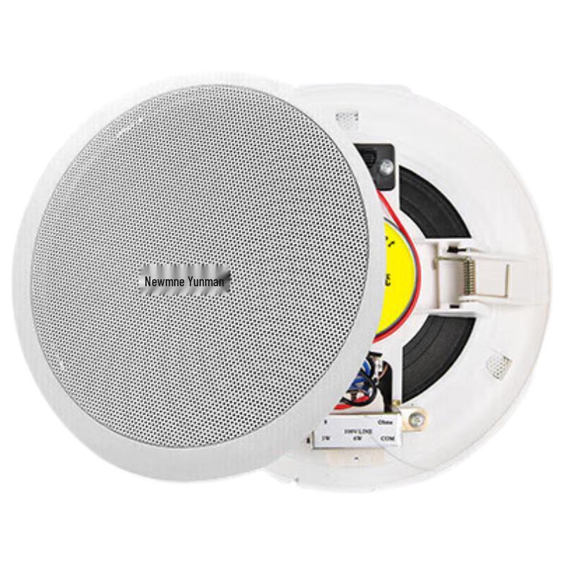 Newmine D168 Constant Voltage Ceiling Speaker PA System (CN version)