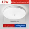 Liangtu LED Sensor Ceiling Light