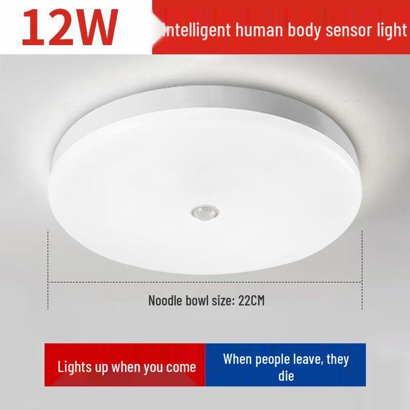 Liangtu LED Sensor Ceiling Light