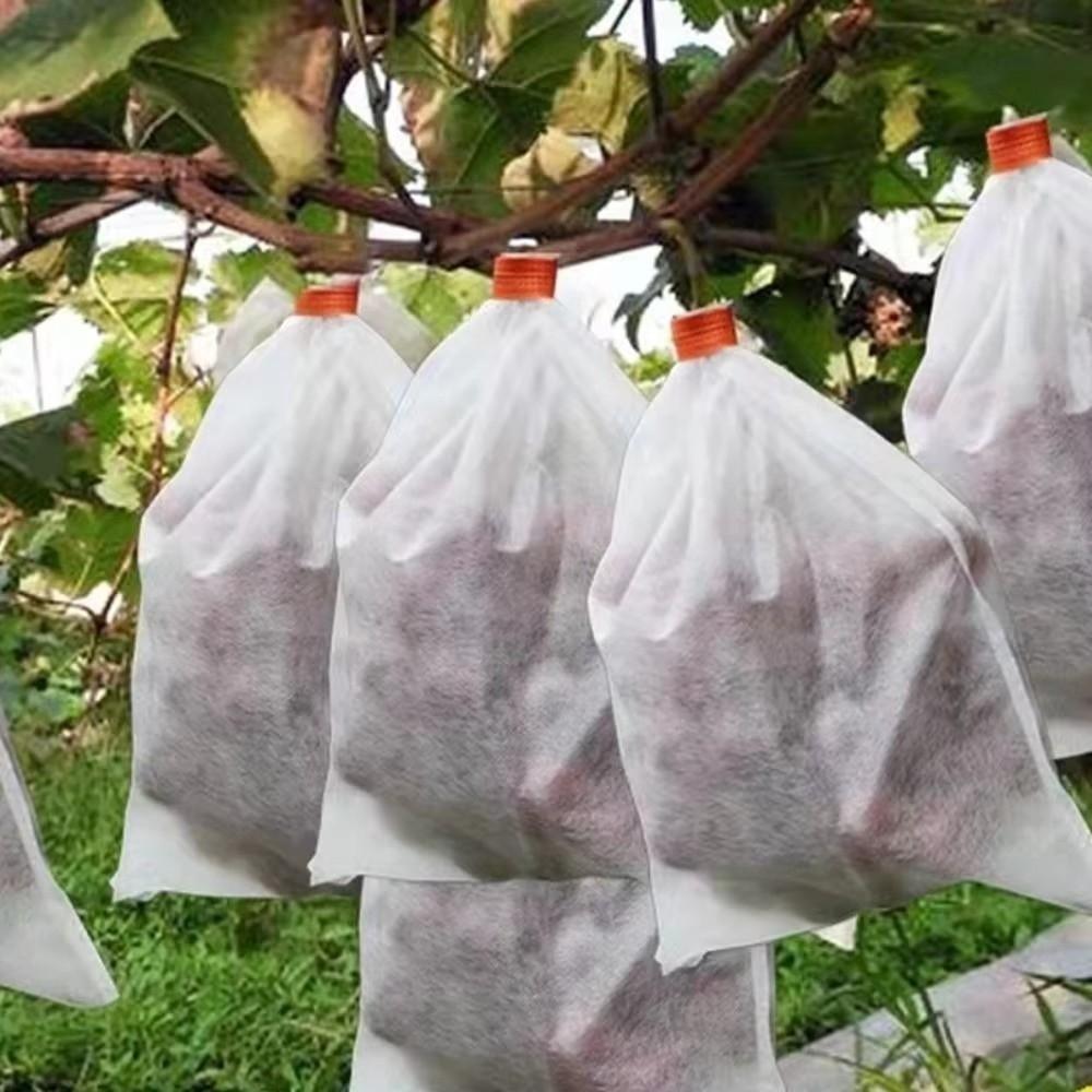 100Pcs Non-woven Fruit Protection Bags Anti-bird Breathable Nursery Bags Anti-sun Corrosion-resistant Insect Proof Bag