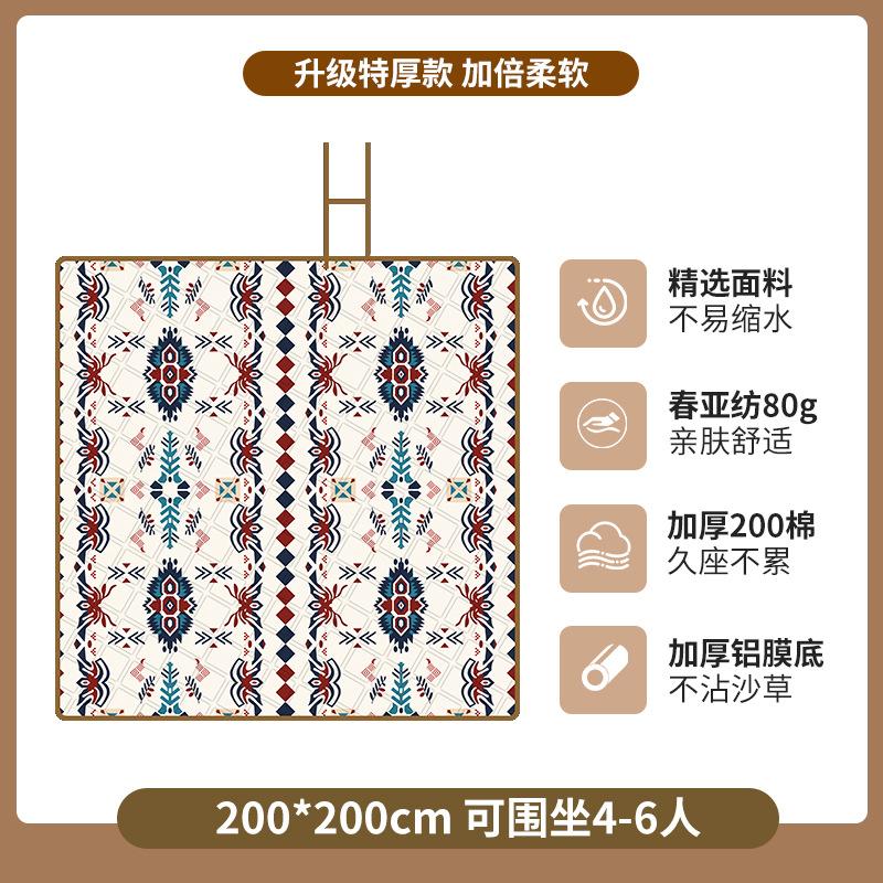 Picnic mat Moisture-proof mat Thickened outdoor floor mat Portable picnic cloth Camping picnic Waterproof spring outing Lawn cushion
