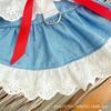 Spring/Summer Pet Clothing Lace Denim Princess Dress Bi Bear Small Dog Dog Dress Cat Clothing