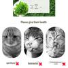 Catnip Powder: Freshens Breath, Aids Digestion, Hairball Control, Teething Aid, Cat Grass Snacks.