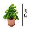Plastic 6 Packs Fake Plants Small,Mini Artificial Plants Indoor For Home Farmhouse Bathroom Shelf Décor(Height : 17Cm,Pink)