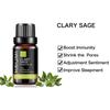MAYJAM 10ml/30ml/100ml Clary Sage Essential Oil For Aromatherapy Diffusers Air Freshening Body Relieve Skin Care Body Massage Oil