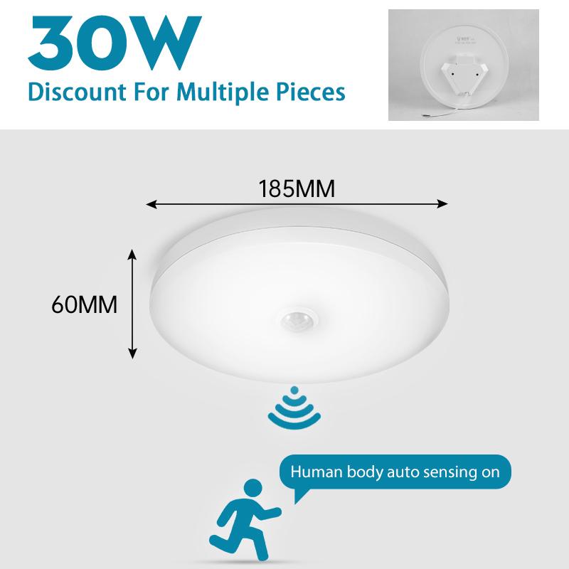 LED Ceiling Lamp Stairs Sensor Aisle Smart Corridor Chandelier Lustre Automatic Luminesce Room House LED Induction Light Ceiling