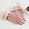 Warm Gloves for Women Winter Suede Outdoor Cycling Touch Screen Plus Velvet Thickening