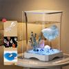 Acrylic Fish Feeding Box Multipurpose Transparent Tank New Small Tank