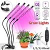 USB LED Full Spectrum Plant Grow Light,Dimmable Lamp with Timer for Indoor Garden Hydroponic Greenhouse Potted Flower Vegetable Plant Cultivation