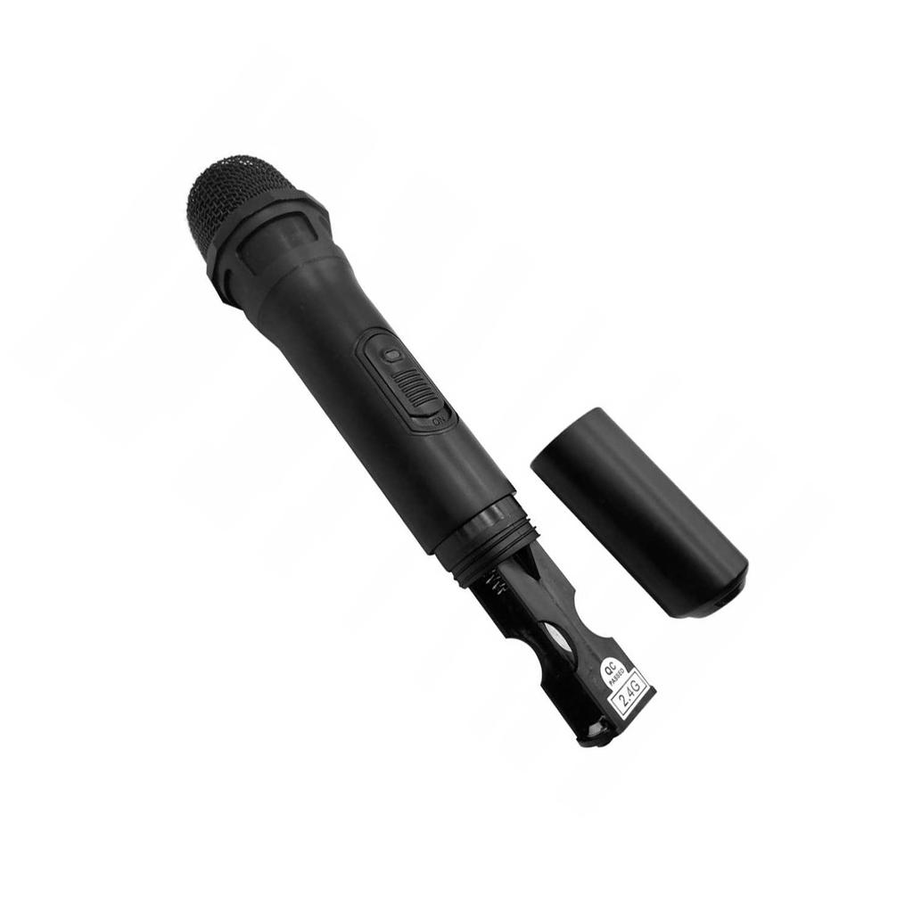 Bluetooth Speaker With Microphone, Remote Control And Karaoke Function