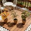 1Pcs Home Decor Mini Taro Turtle Back Green Potted Plants For Dollhouse Scandinavian Style Model Decoration Props