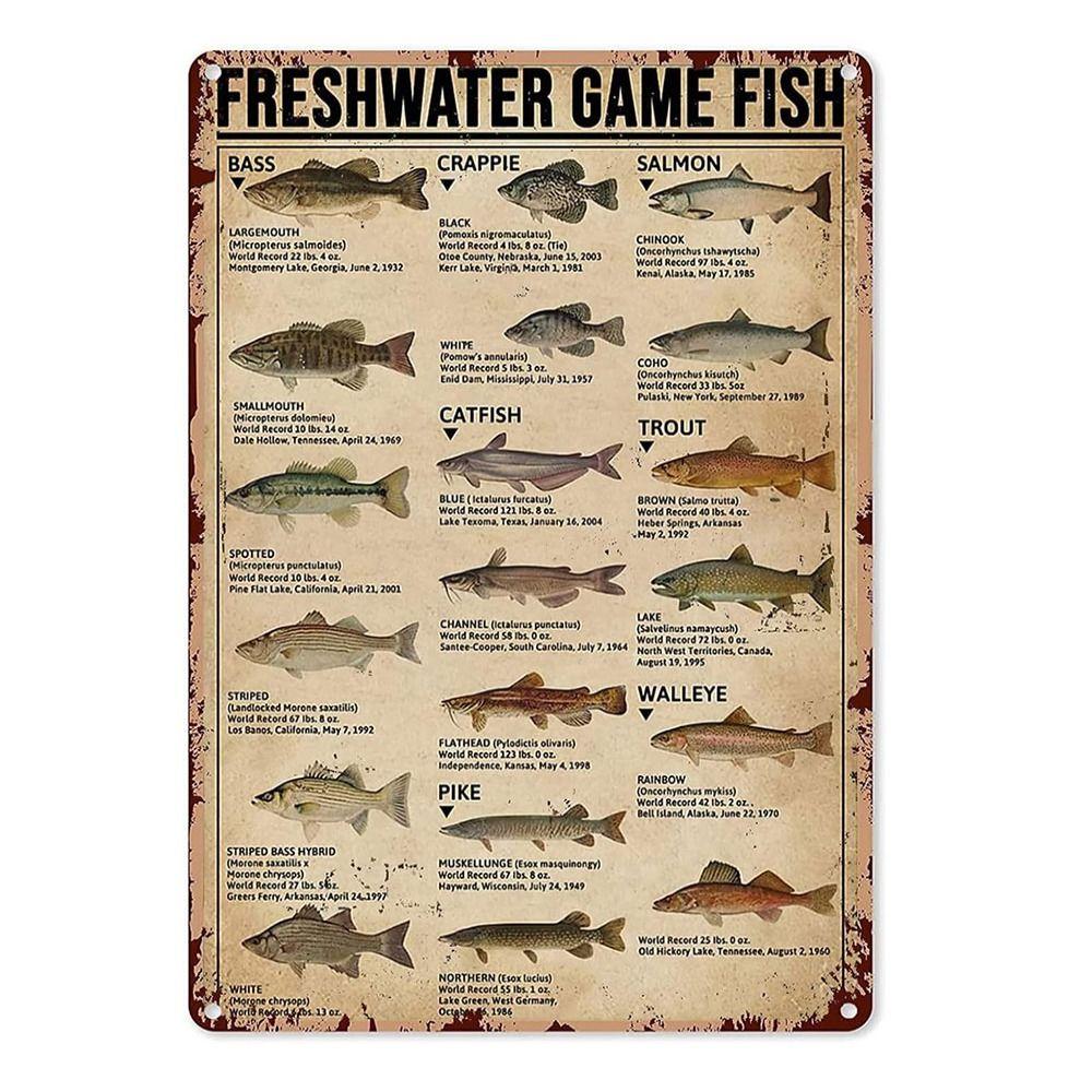 

Белая жесть Украшение стен Листинг 11,8 * 7,87 дюйма Винтажный художественный декор стены Кофейня