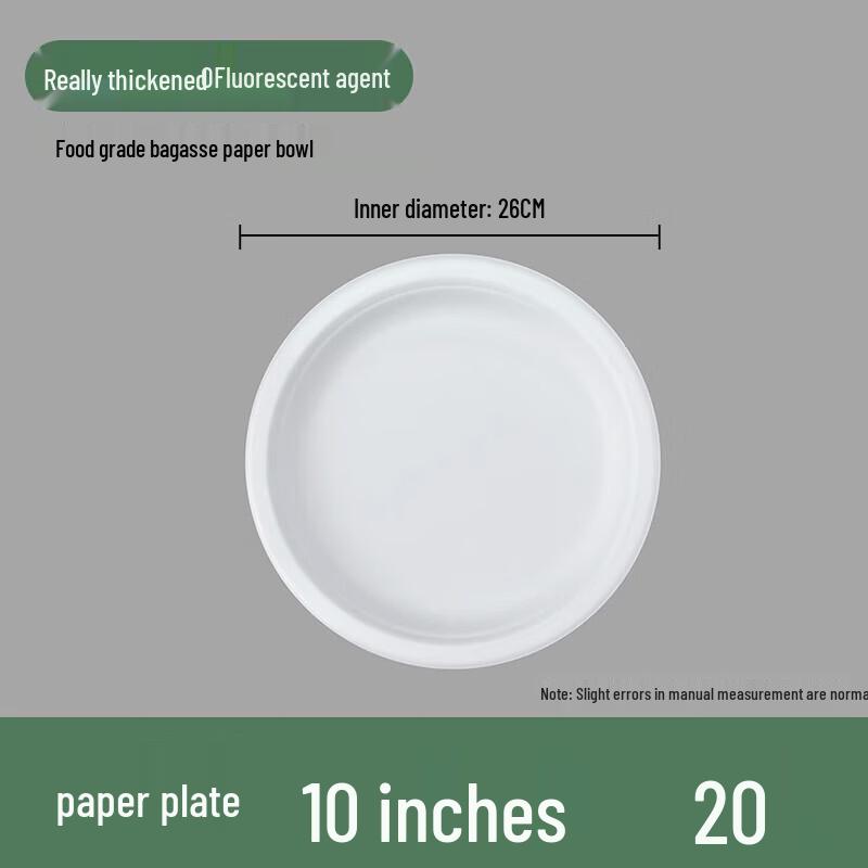 Eco-Friendly 10-inch Sugarcane Pulp Plates