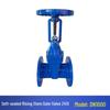 Z41X-16 DN100 Manual Rising Stem Elastic Seat Flanged Gate Valve for Tap Water