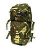 Works Pedition Haken 22-Liter Tactical Backpack Woodland