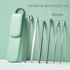 Portable 6-Piece Stainless Steel Earwax Removal Tool Set with Keychain
