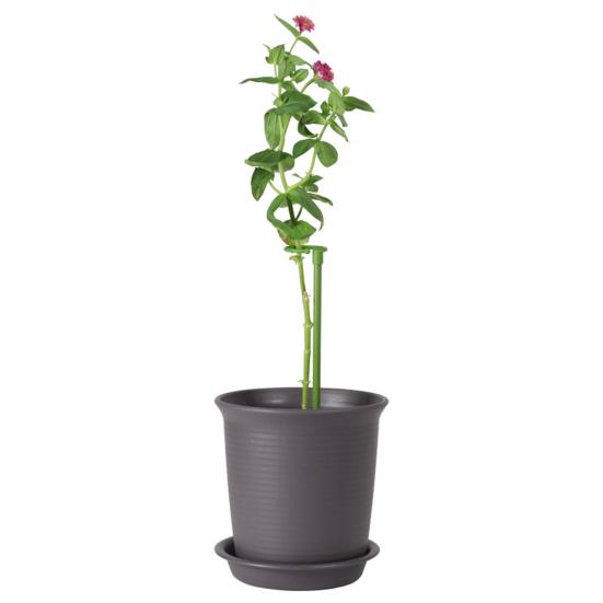 Pot Stand Shape Plant Anti-rust Durable Anti-deformed Long-lasting Wide Applications Reusable Plant Climbing Sturdy Plant Support Stakes for Amaryllis