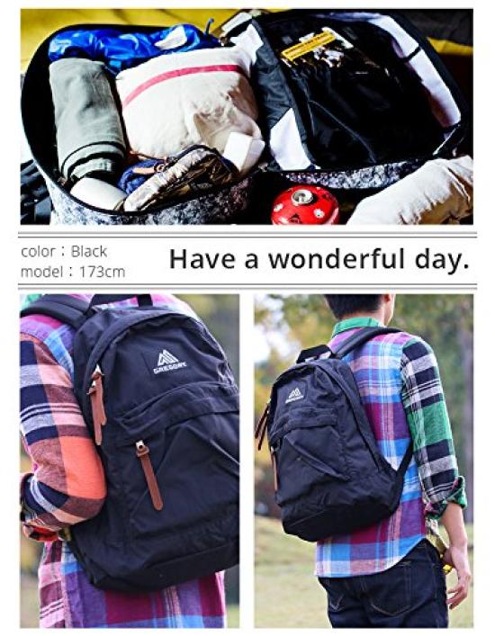 Gregory Official Easyday Backpack, Current Model, Black