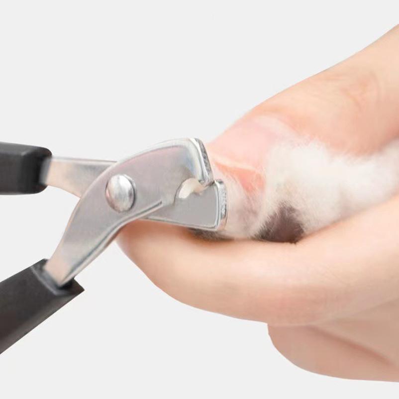 Pet cat dog nail clippers Cat clippers pet nail clippers special tools pet nail grooming pet products