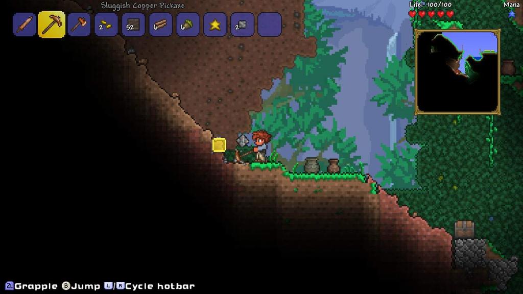 Terraria Switch -