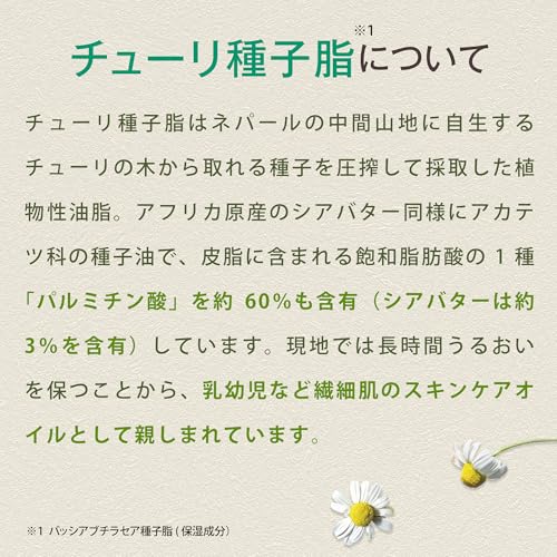 Land Planning Associates Bisute