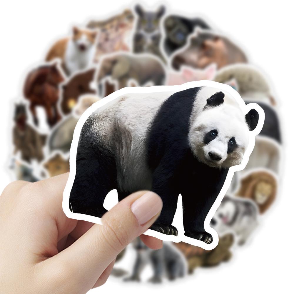 50 Realistic Animal Graffiti Waterproof Stickers for Luggage, Computers, Skateboards, and Notebooks.