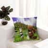 Cartoon D-Domo K-Kun Pillow Gift Home Office Decoration Bedroom Sofa Car Cushion Cover Case 45X45