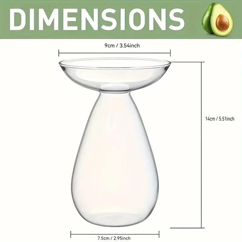 Colorful Transparent Avocado Hydroponic Vase Glass Avocado Seed Starter Vase Plant Seed Growing Kit Gardening Lovers Home Decor