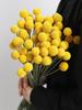 Natural Dried Flower Ball Bouquet for DIY Arrangements - Home Decoration with Vase